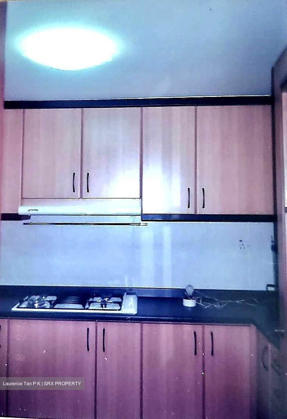 Palm Gardens (D23), Condominium #580921131
